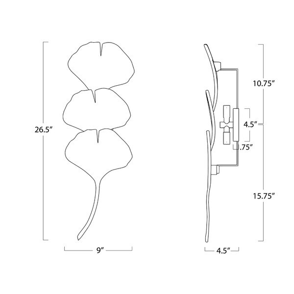 Ginkgo Sconce